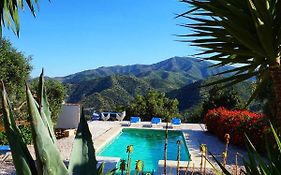 Olive Branch El Chorro